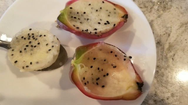 Peruvian Apple Cactus смотреть онлайн