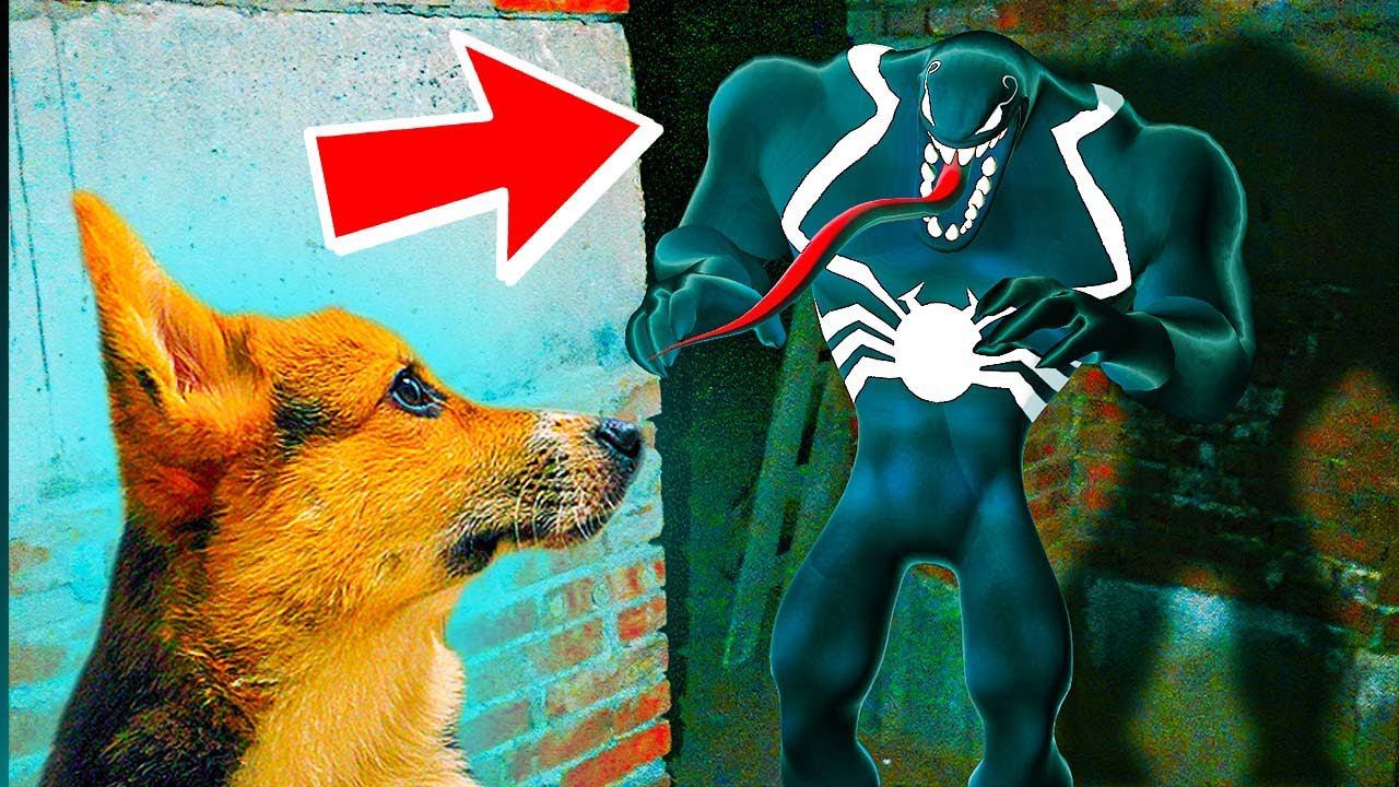 ВЕНОМ ЖИВЕТ В НАШЕМ ПОДВАЛЕ!! (Корги Кекс) Говорящая собака смотреть онлайн