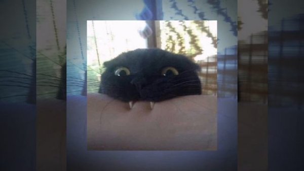 ПЕСНЯ (SPEED-UP) (МУККА) БАЮ БАЙ ЗАСЫПАЙ baby ПОПАДАЕТ В РАЙ.