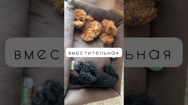 😱МЕГАЛежанка от SalopDog смотреть онлайн