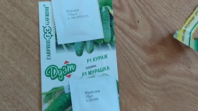 Огурцы Герман, Кураж и Мурашка. Сею семена на рассаду. Первые всходы огурцов. смотреть онлайн
