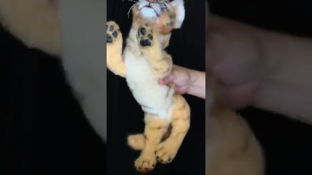 Тигрёнок смотреть онлайн
