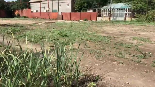 Терраса своими руками, автополив под газон, установка бассейна. смотреть онлайн