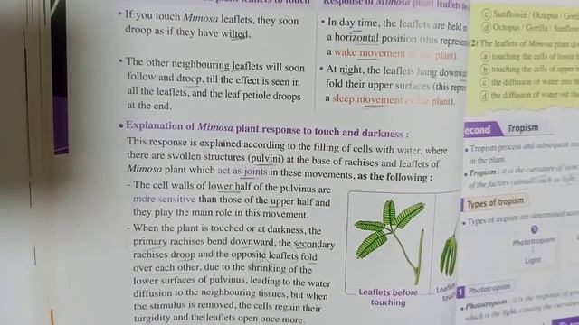 Sensation in plant 1 sec 2 смотреть онлайн