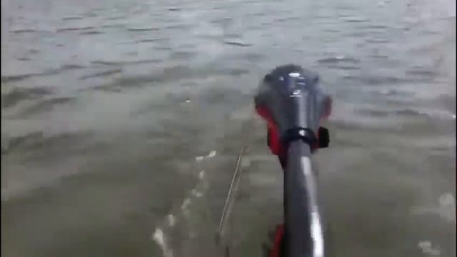 Обзор электро-лодочного мотора