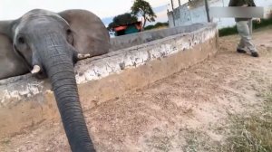 [ИСПУГИ ЛЮДЕЙ]. Смешные испуги. Подборка приколов #испуги людей