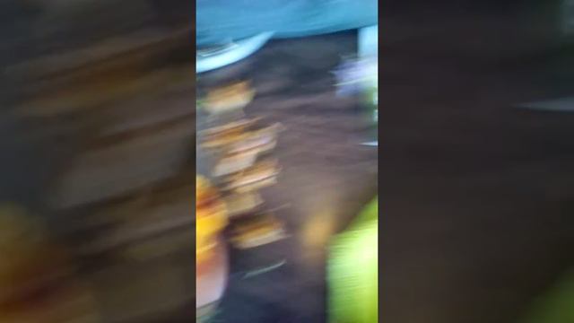 Лайфхаки как сделать из шарик ЛОЛ, цветов и из настоящий елки😘😍❤️💛💙💜🖤♥️❣️❣️❣️💕💞👍🏻💅🏻💓😘 смотреть онлайн