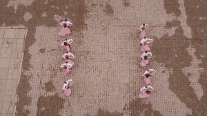 Славутич вальс Лицей 2020