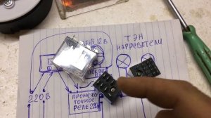 XH-W3001 в инкубатор Несушка