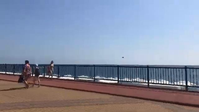 Беру двумя руками, сую между ног... смотреть онлайн