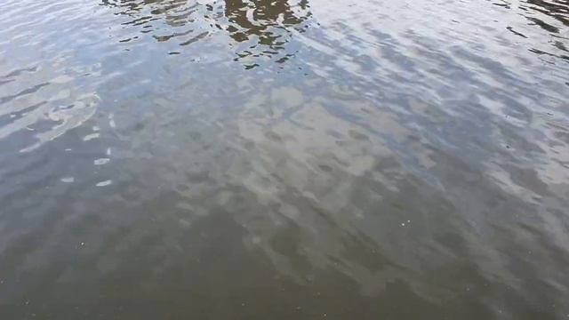 Где бы не был на Москва-реке поисковый магнит Валера, везде находит медь смотреть онлайн