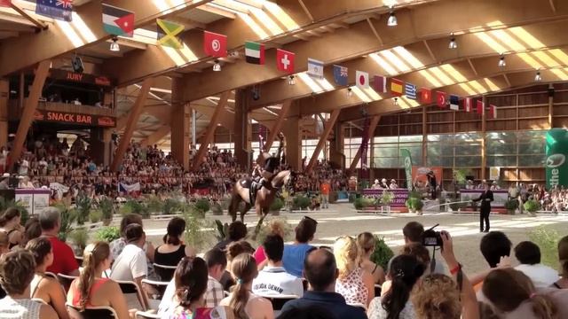 120819 WC Vaulting Simone Jaiser freestyle final смотреть онлайн
