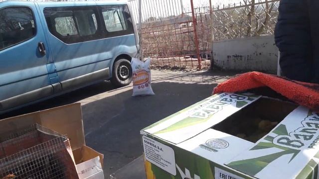 Макеевка Красный рынок привоз животные 28.03.2020 смотреть онлайн