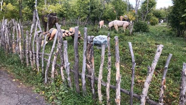 Абзакова Банное Белорецк смотреть онлайн