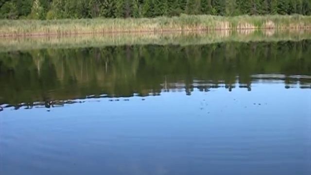 Рыбалка на удочку. КАК ЛОВИТЬ БОЛЬШЕ ? СЕКРЕТЫ ЛОВЛИ, смотреть онлайн