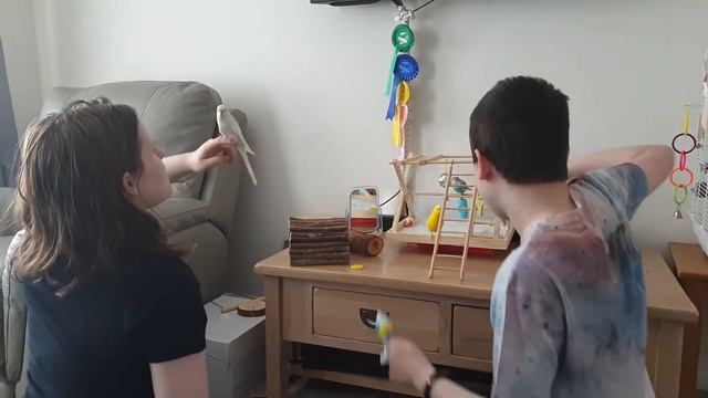 Playing with Daffi and our new baby Joey смотреть онлайн