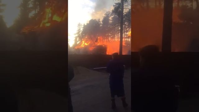 Пожар во Всеволожске на 4 линии, 24.03.2020 г. смотреть онлайн