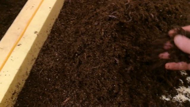 ТОРФ, ГУМУС И ЕДА смотреть онлайн