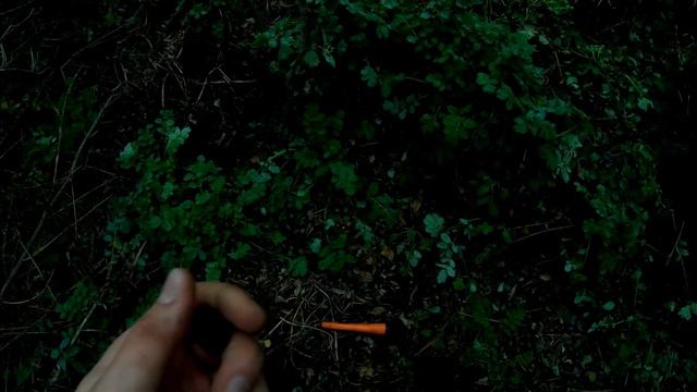 Находки: Монеты СССР, Серебряный Крестик. Коп с Собакой! смотреть онлайн