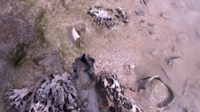 Mudlarking Victorian Shipwrecks in the Thames - London смотреть онлайн