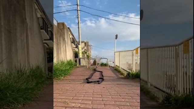 Тренировки Борцов во время карантина - 3 (вольная борьба, греко-римская борьба). смотреть онлайн