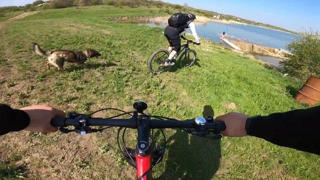 Алексеевский лес 2021 смотреть онлайн