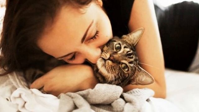 Девятая жизнь кота Васьки! смотреть онлайн