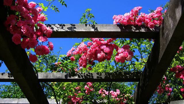 Слушать новую новинку для сна 2015 смотреть онлайн