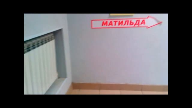 САЛОН ""МАТИЛЬДА"" КУРСЫ ГРУМИНГА смотреть онлайн