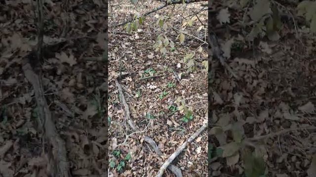 БЕЗ КОНЦА НАХОДИМ. БРАТЬ НЕ НАДО. ХОРОШИЙ ЗНАК. ПРОСТО ☔ ЗОНТИКИ. смотреть онлайн