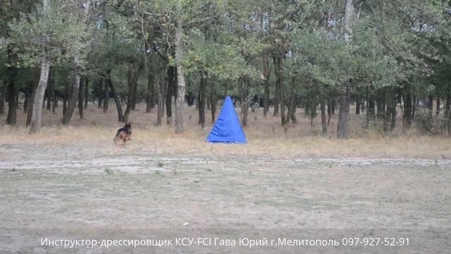 Фант обыск 4 укрытий. смотреть онлайн
