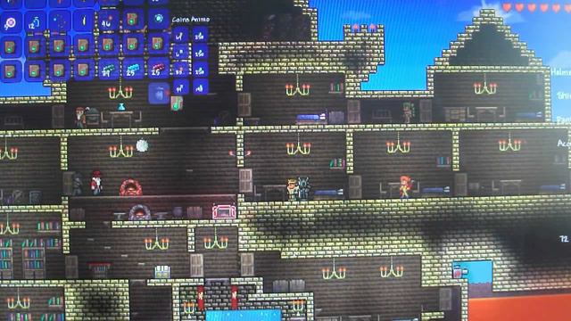 TERRARIA:3 полезных бага смотреть онлайн
