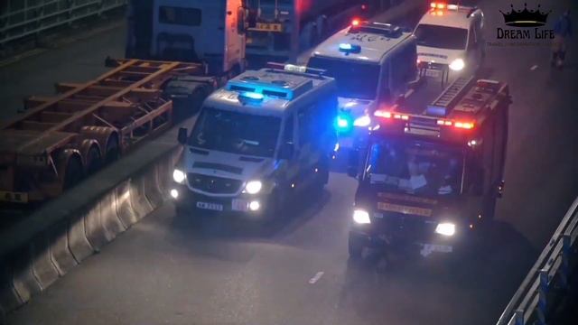 romania to italy donkey | romania to portugal | Romania to portugal donkey | Romania donkey italy смотреть онлайн