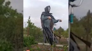 Соорудил пугало, сосед пить бросил