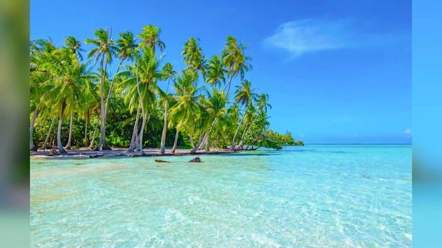 French Polynesia | The Best of French Polynesia Travel Guide смотреть онлайн
