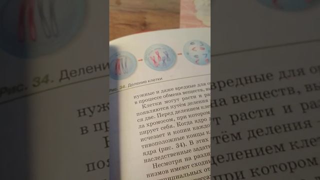 Пов: нам задали учить какую-то фигню по биологии... смотреть онлайн