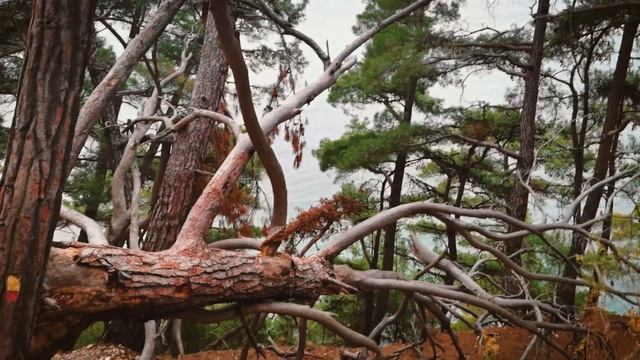 Голубая бездна - Геленджик (зимой) смотреть онлайн