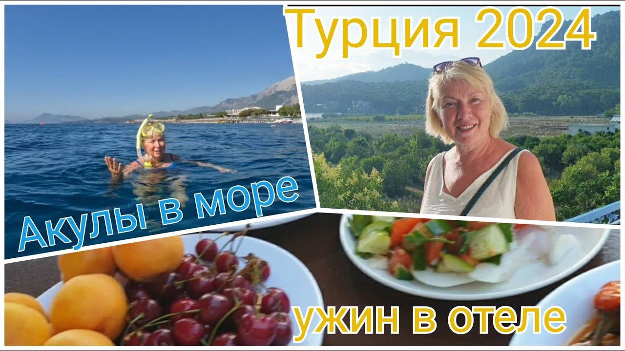 АКУЛЫ В МОРЕ ТУРЦИИ.Случаи нападений. Боимся ли мы заплывать далеко. УЖИН В ОТЕЛЕ смотреть онлайн