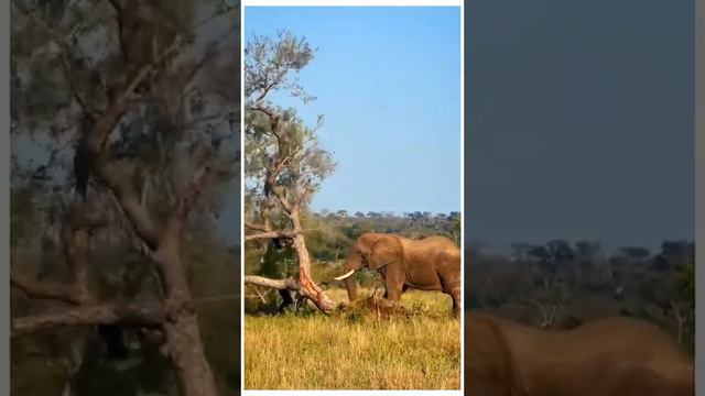 У природы нет плохой погоды, каждая погода ч 22 смотреть онлайн