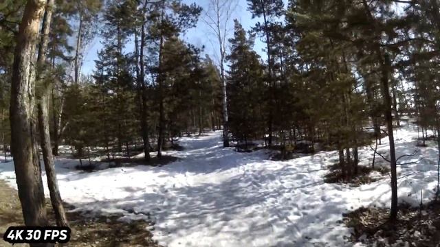 ОБЗОР ЭКШН-КАМЕРЫ EKEN V50 Pro / ЭКШН-КАМЕРА И ВИДЕОРЕГИСТРАТОР В ОДНОМ! смотреть онлайн