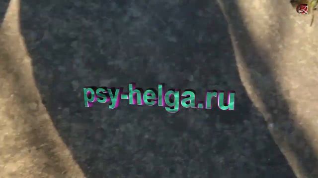 Река под мостом | Растения луга | Насекомые и улитки смотреть онлайн