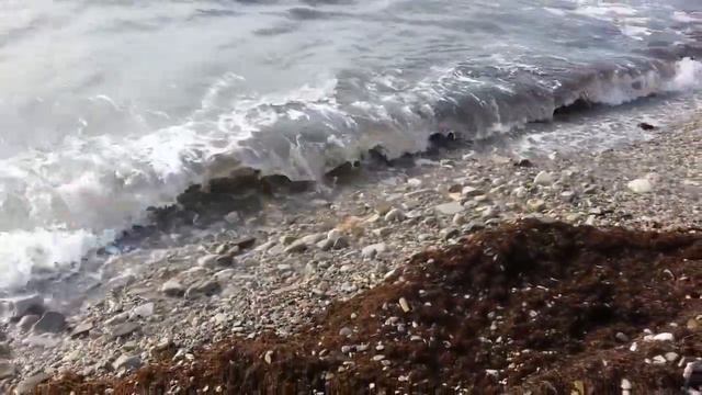 Черное море Геленджик 17 января 2014 смотреть онлайн