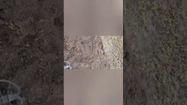 Копаю металлолом с Simplexом глубина находок 15метра
