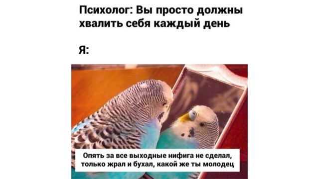 Свежие Мемы от Кабанчика 86 | Озвучка Мемов смотреть онлайн
