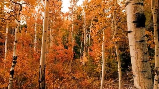 Красно солнышко смотреть онлайн