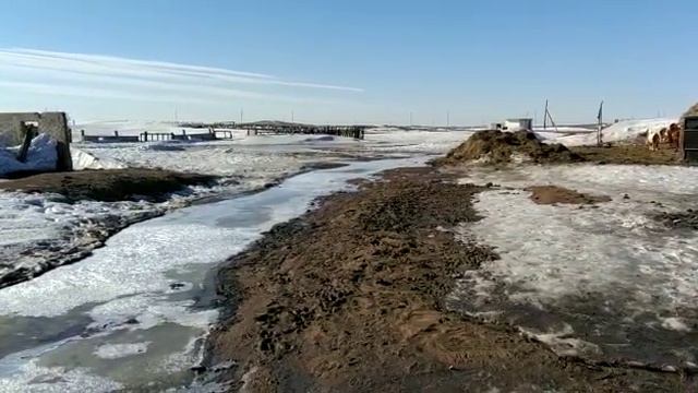 Информацию о паводке возле села Бирлик Баянаульского района назвали неверной смотреть онлайн