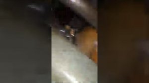 Пассат б3 1.8 инжектор достал сапун идиотизм года