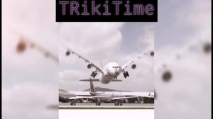 Самолёт летит как птица, мем