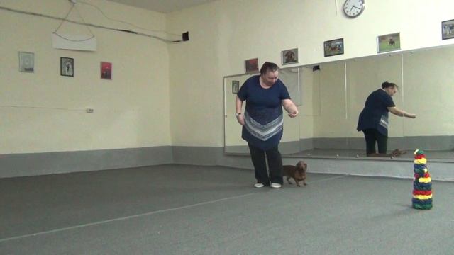 ЕвроШоу Капитошка & Елена Ильина, фристайл, Зимняя Сказка, класс дебют, 14.02.2016 смотреть онлайн