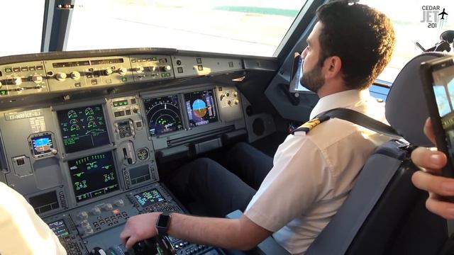 Airbus A320 Cockpit Landing In Lebanon Beirut With Middle East Airlines HD